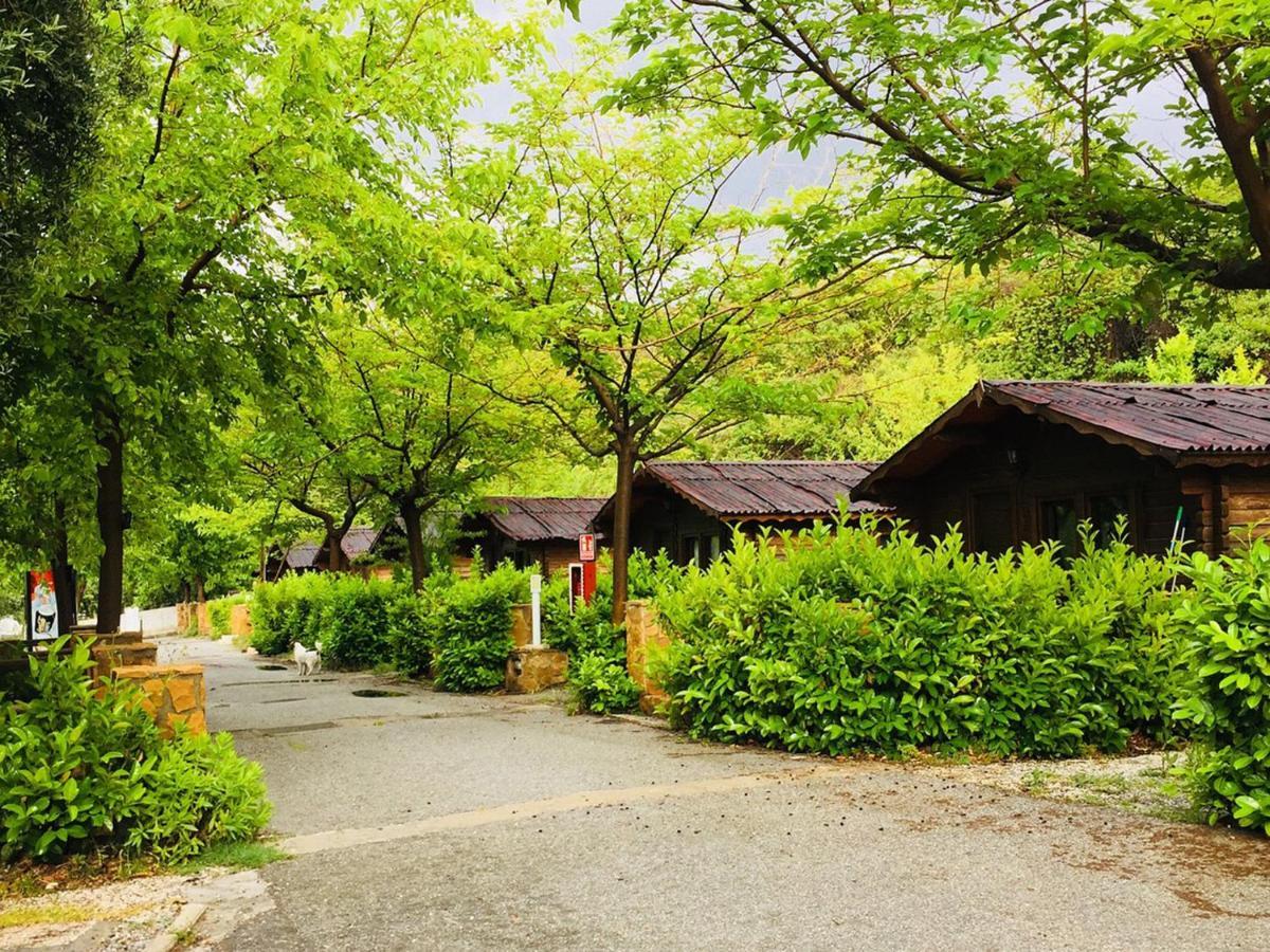 Fuente Del Lobo Glamping & Bungalows - Adults Only Pinos Genil Dış mekan fotoğraf