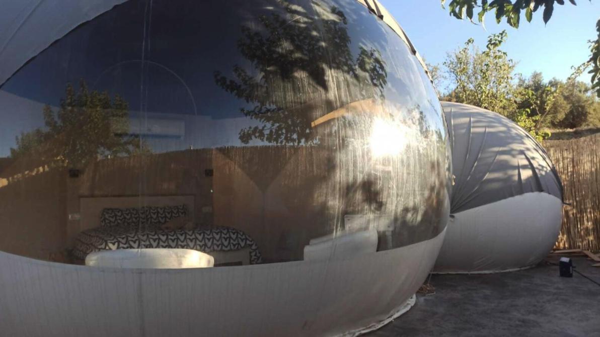 Fuente Del Lobo Glamping & Bungalows - Adults Only Pinos Genil Dış mekan fotoğraf